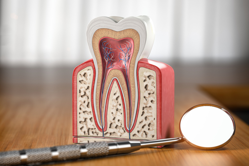 Root Canals  Clark, NJ